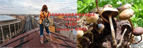 Альфа ПВП Абдулино