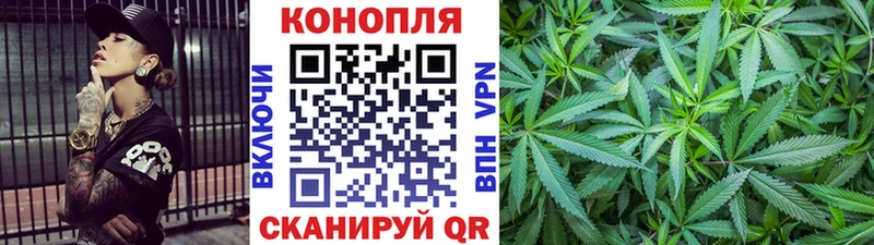 закладка  Ильский  Каннабис индика 